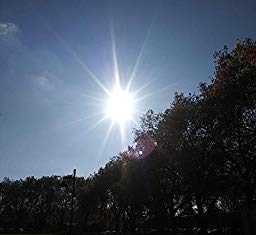 Shred Red - Rule the Cruel