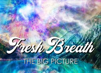 Fresh Breath - Jump In