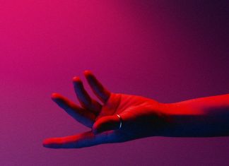 SameLand - Never Like This