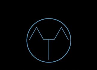 And the Animal - Soulful