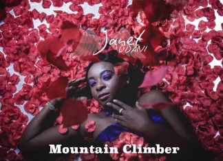 Janet Odani - Revolving Doors