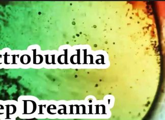 Electrobuddha - Keep Dreamin’