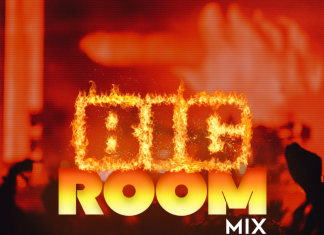 Trovie - Best Big Room House Mix 2020