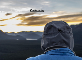 ProfitGrace - Reminiscing