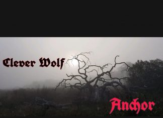 Clever Wolf - Anchor