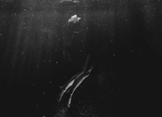 Brendan Morrison - Fluctuat Nec Mergitur