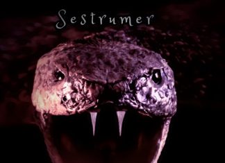 Sestrumer - Offline