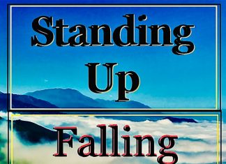 Mark Ambuter - Standing Up: Falling Down