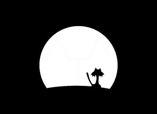 And the Animal & D.tha.G - Moonlight
