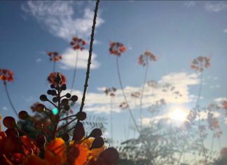 Tuxx - Beautiful Ending