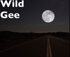 Wild Gee - Delight