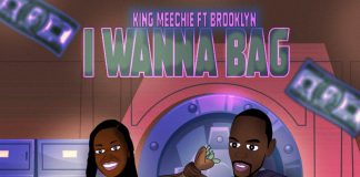 King Meechie - I Wanna Bag