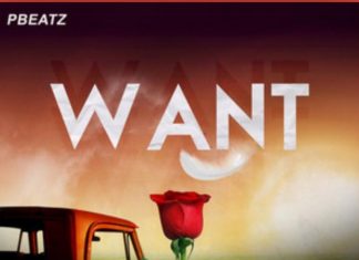 Pbeatz - Want