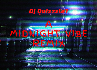 Dj Quizzzle1 - A Midnight Vibe (remix)