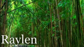 Music - Raylen Night - Just Like That