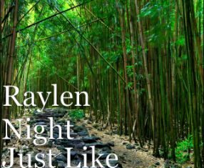 Music - Raylen Night - Just Like That