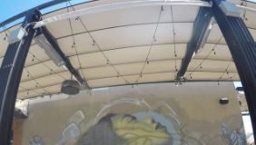 Jnza - Live in Color