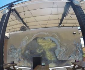 Jnza - Live in Color