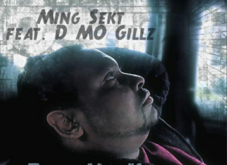 Ming Sekt feat. D MO Gillz. - Feel My Vibe
