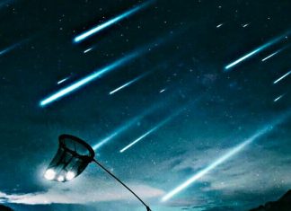 Kwam - In My Bag feat. Jtroy & Roze