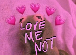 Slim Titty Ray - LOVE ME NOT Ft. Sad Boy Denzel