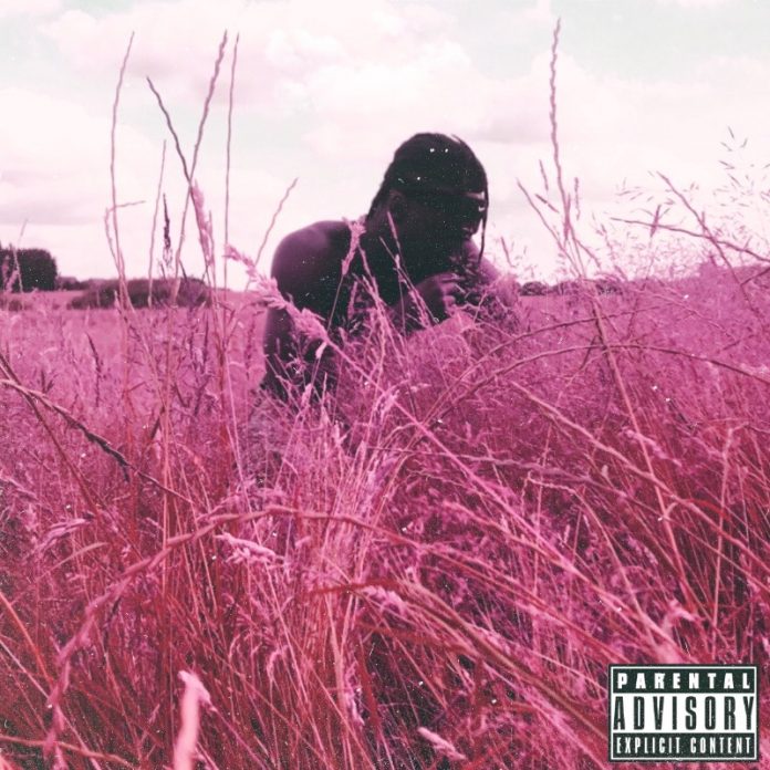 Tobi Adey - Healing Notion