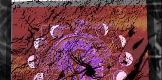 LilSteezy - In a Dream