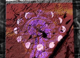 LilSteezy - In a Dream