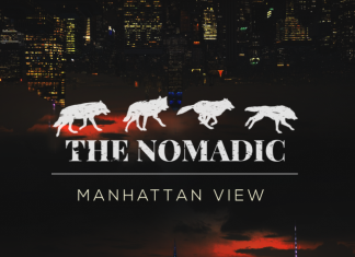 The Nomadic - Manhattan View