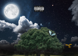 MattLit - Sight to See