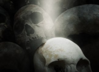 Nick Mckinnon - Boneyard
