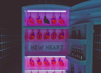 Sito2fly - novo heart