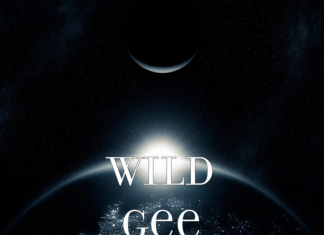 Wild Gee - Heart Crys