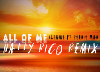 Ilhame - All of Me (feat. Beenie Man) [Natty Rico Remix]