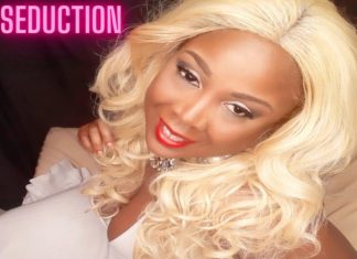 Intelligent Diva - Seduction