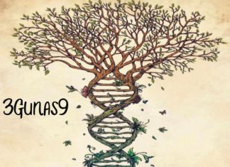 3Gunas9 - The Remedy