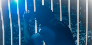 Classy J - NeverFold