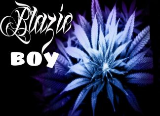 Blazieboy - Demons in Me