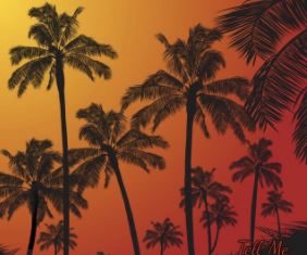 Ant Lauren ft Flash - Tell Me