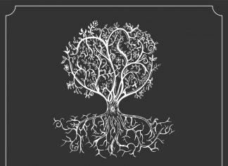 Amber Norgaard - Good Day to Be Alive