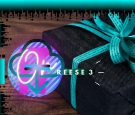 REESE 3 - Down On It