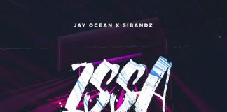 Jayocean and Sibandz - Issa Vibe