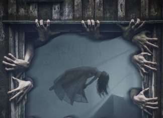 Baileys Ghost - Madhouse Windows