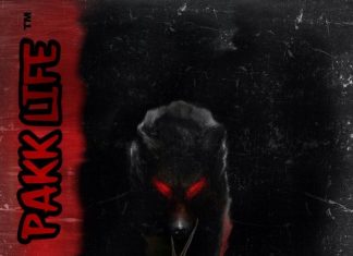 Big Berry - PAKKLIFE 2