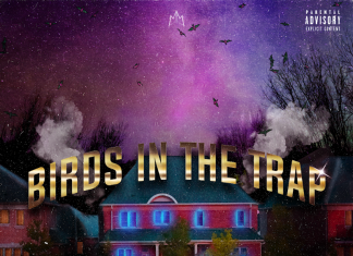 Young Early - Birds in the Trap