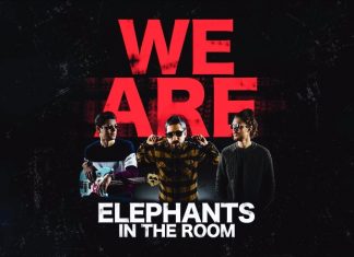 Elephants in the Room - We Are Elephants in the Room