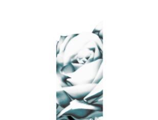 Grey Daze - Shouting Out