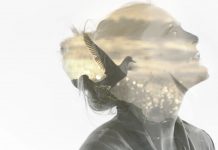 Tiny Fighter – Maybe Tiny Fighter - Maybe