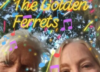 The Golden Ferrets - Hollywood Plan