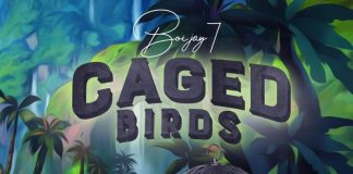Boi.Jay7 - Caged birds